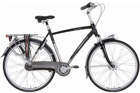 Gazelle Ambiance Fiets.jpg