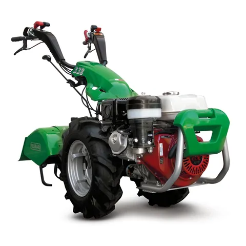 Tuinfrees ferrari benzine 7,5 pk.jpg